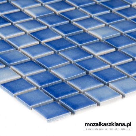 mozaika ceramiczna C 41121
